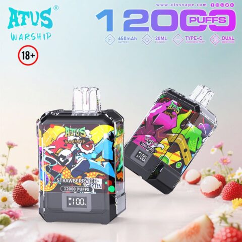 DE013A 12000 Puffs Disposable Vapes with LED display screen and adjustable airflow ATVS Vape