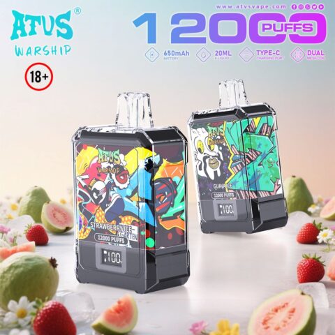 DE013A 12000 Puffs Disposable Vapes with LED display screen and adjustable airflow ATVS Vape