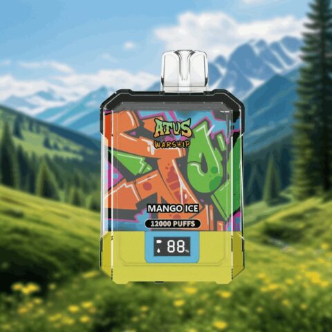 DE013A 12000 Puffs Disposable Vapes with LED display screen and adjustable airflow ATVS Vape