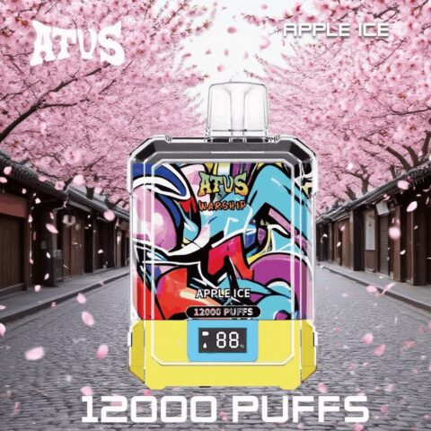 DE013A 12000 Puffs Disposable Vapes with LED display screen and adjustable airflow ATVS Vape