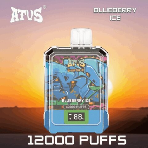 DE013A 12000 Puffs Disposable Vapes with LED display screen and adjustable airflow ATVS Vape