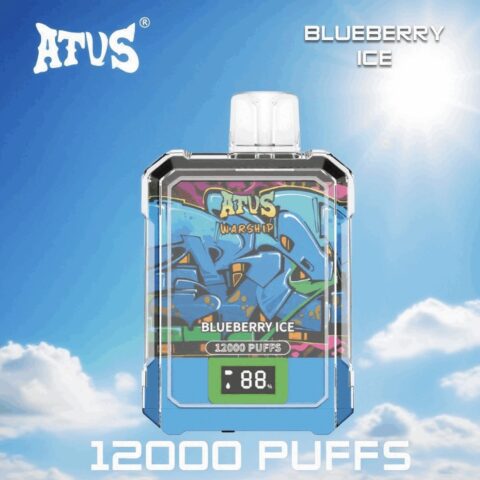 DE013A 12000 Puffs Disposable Vapes with LED display screen and adjustable airflow ATVS Vape