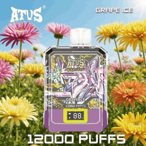 DE013A 12000 Puffs Disposable Vapes with LED display screen and adjustable airflow ATVS Vape