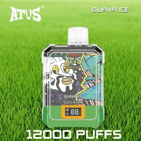 DE013A 12000 Puffs Disposable Vapes with LED display screen and adjustable airflow ATVS Vape