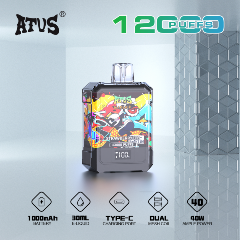DE013A 12000 Puffs Disposable Vapes with LED display screen and adjustable airflow ATVS Vape