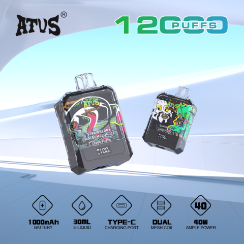 DE013A 12000 Puffs Disposable Vapes with LED display screen and adjustable airflow ATVS Vape