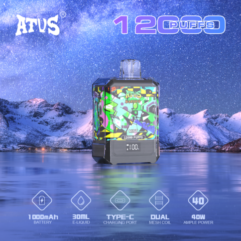 DE013A 12000 Puffs Disposable Vapes with LED display screen and adjustable airflow ATVS Vape