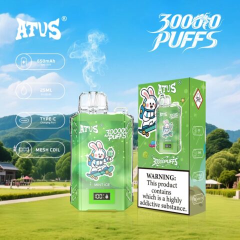 DE017 30000 Puffs Disposable Vape with LED display screen and adjustable airflow rechargeable ATVS Vape