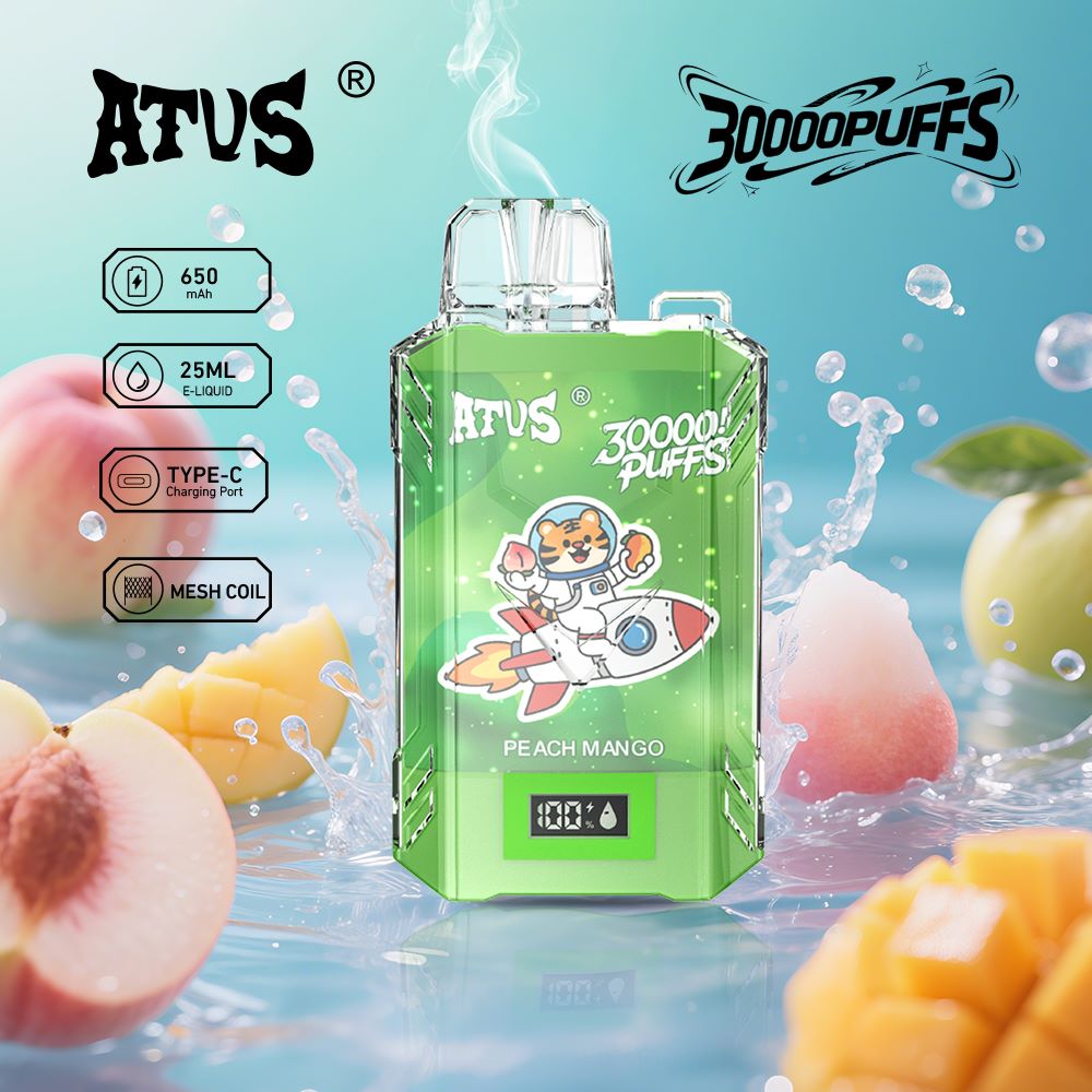 DE017 30000 Puffs Disposable Vape With LED display screen and adjustable airflow rechargeable
