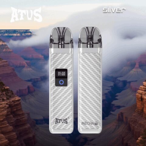 DE019 MINI Refillable Pod Kit System Device