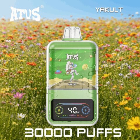 DE021 30000 Puffs Disposable Vape with LED display screen and adjustable airflow MTL DTL