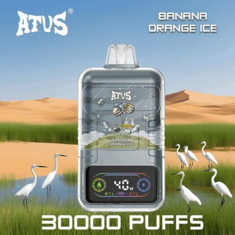 DE021 30000 Puffs Disposable Vape with LED display screen and adjustable airflow MTL DTL