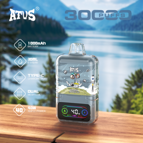 DE021 30000 Puffs Disposable Vape with LED display screen and adjustable airflow MTL DTL