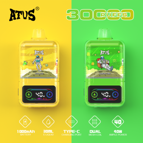 DE021 30000 Puffs Disposable Vape with LED display screen and adjustable airflow MTL DTL