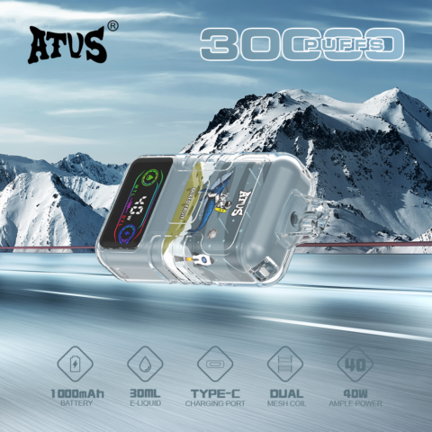 DE021 30000 Puffs Disposable Vape with LED display screen and adjustable airflow MTL DTL