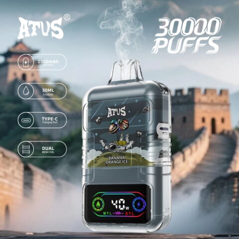 DE021 30000 Puffs Disposable Vape with LED display screen and adjustable airflow MTL DTL