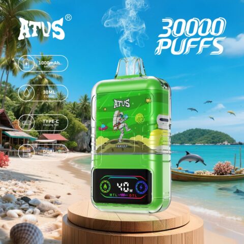 DE021 30000 Puffs Disposable Vape with LED display screen and adjustable airflow MTL DTL