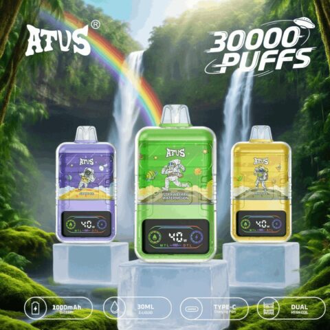 DE021 30000 Puffs Disposable Vape with LED display screen and adjustable airflow MTL DTL