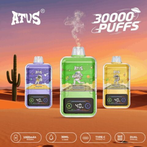 DE021 30000 Puffs Disposable Vape with LED display screen and adjustable airflow MTL DTL