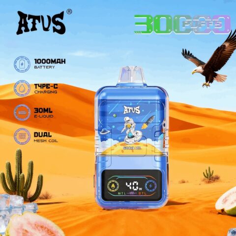 DE021 30000 Puffs Disposable Vape with LED display screen and adjustable airflow MTL DTL