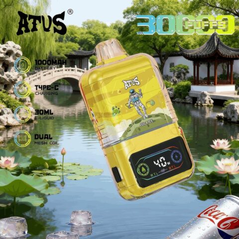 DE021 30000 Puffs Disposable Vape with LED display screen and adjustable airflow MTL DTL