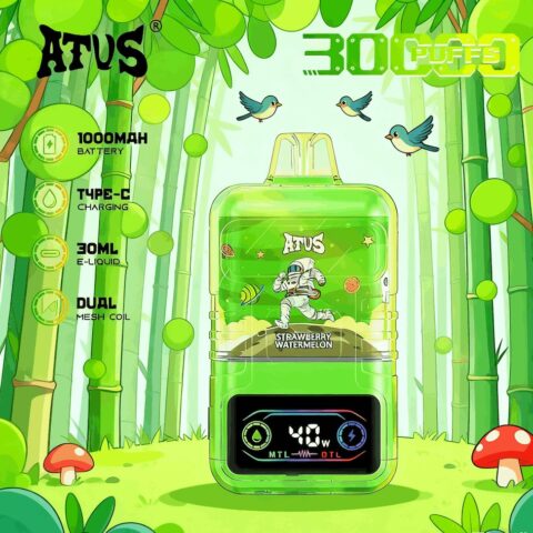 DE021 30000 Puffs Disposable Vape with LED display screen and adjustable airflow MTL DTL