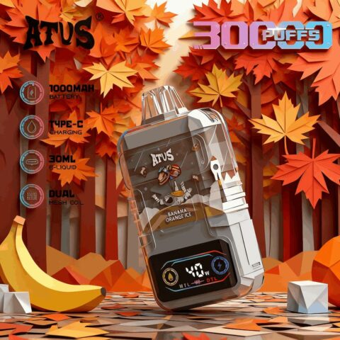 DE021 30000 Puffs Disposable Vape with LED display screen and adjustable airflow MTL DTL