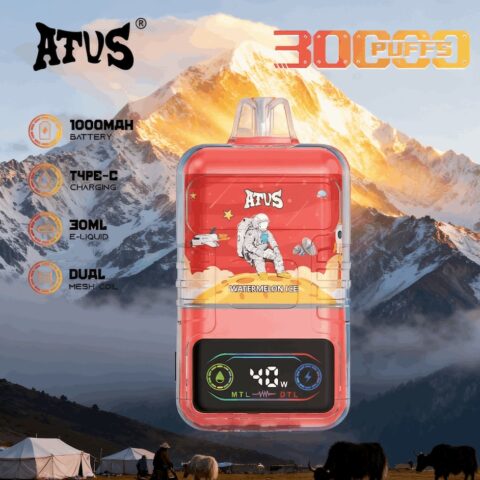 DE021 30000 Puffs Disposable Vape with LED display screen and adjustable airflow MTL DTL