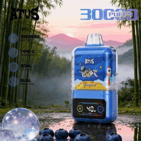 DE021 30000 Puffs Disposable Vape with LED display screen and adjustable airflow MTL DTL