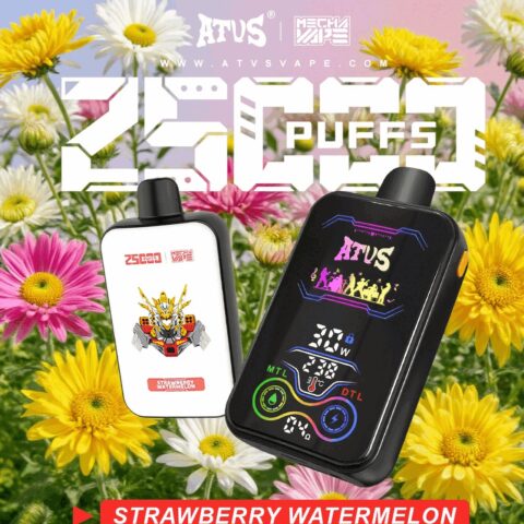 DE022 25000 Puffs Disposable Vape with Full screen rechargeable and adjustable airflow ATVS Vape