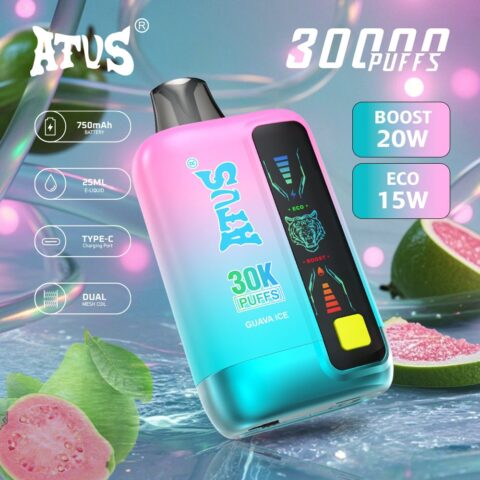 DE026 30000 Puffs Disposable Vape with LED display screen and adjustable airflow ATVS Vape