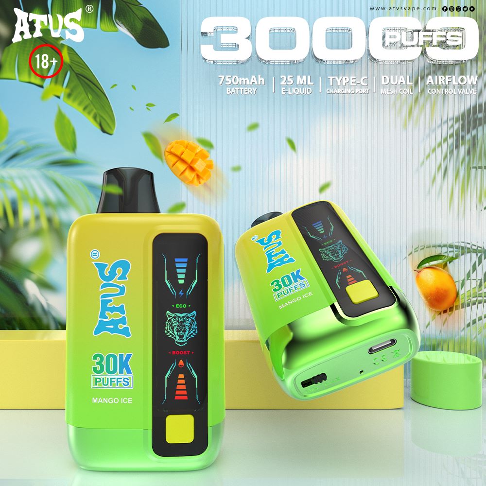 DE026 30000 Puffs Disposable Vape with LED display screen and adjustable airflow
